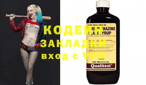 хмурый Алзамай