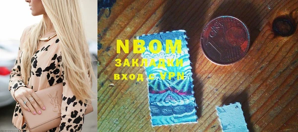 прущие грибы Гусев